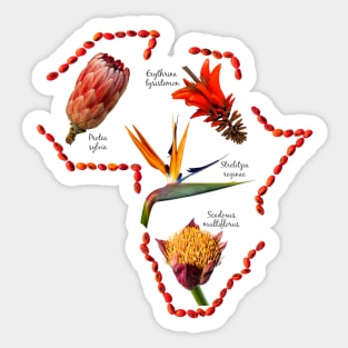 Indigenous Flowers within Shape of Africa Sticker